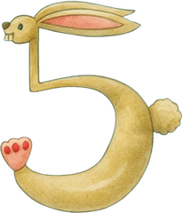 El número 5 es el conejo